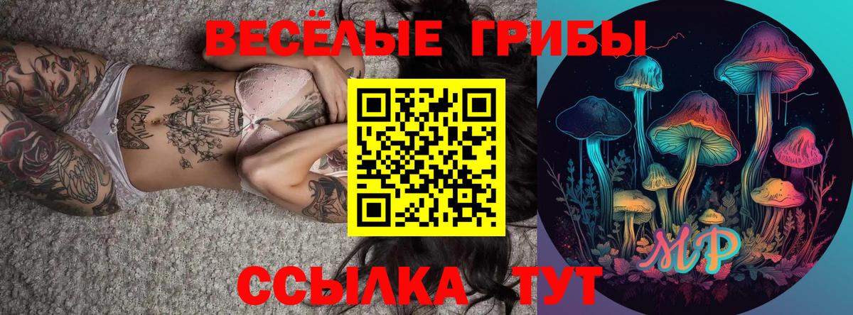 Заводоуковск  Псилоцибиновые грибы Psilocybe  Вход с VPN 